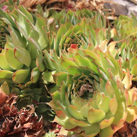 8121a Апартаменты *